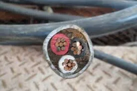 三本線 Bの写真